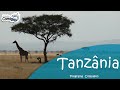 SAFARIS na TANZÂNIA | Programa Viaje Comigo