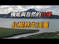 機能與自然的抉擇--紅樹林生活圈