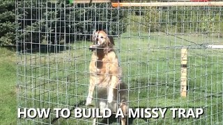 How to Build a Missy Trap (Original Version - No Raytripper Required)