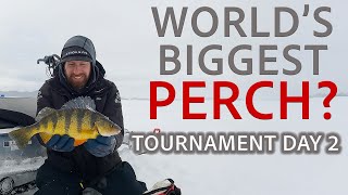 Chasing World-Record Perch at Lake Cascade | Ice Fishing Tournament Day 2
