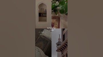 تلاوة خاشعة _للقارئ/أحمد النفيس 🤍