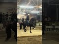 Cuadra el charro de Hermosillo Sonora🔥🐴🤠