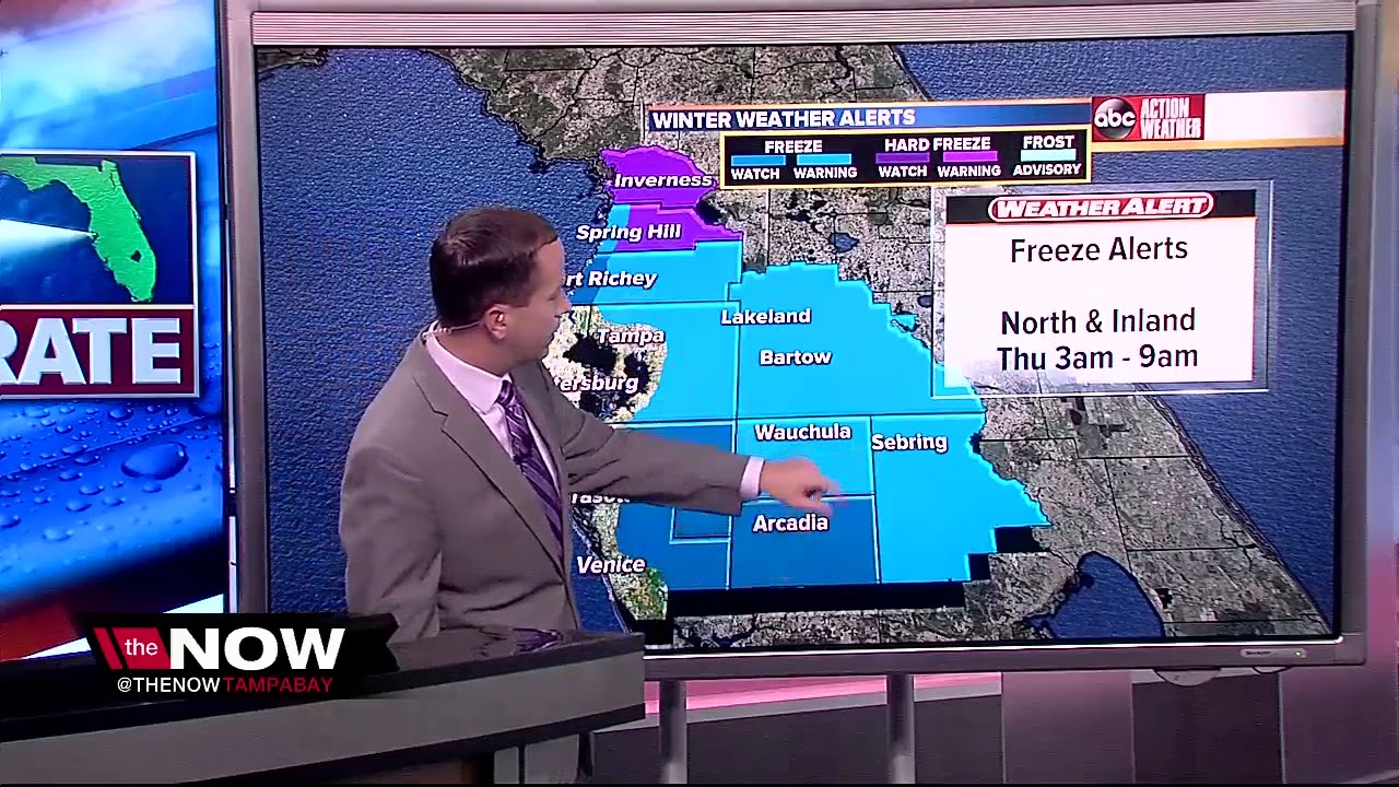 Freeze Warnings issued for Tampa Bay - YouTube