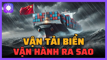 Vận tải biển hoạt động như thế nào?