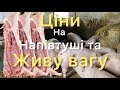 ЦІНИ на Живу ВАГУ🐷☝️Сало, Мясо, НАПІВТУШІ🔥