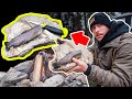 Cooking Trout with HOT Rock (Primitive Fire)