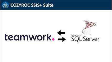 Teamwork SSIS REST connection. Import, Export or Sync data to / from Teamwork service. COZYROC SSIS+