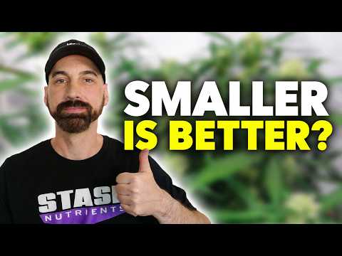 Why I Grow Small Plants… Still!