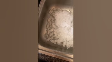 How to clean your garbage disposal! #shorts #ytshorts #howto #cleaninghacks #hack #tips #tiktok