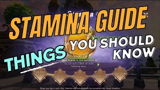 Stamina In-depth Guide and Tips | How To Use Stamina Efficiently | Dragon Nest 2: Evolution