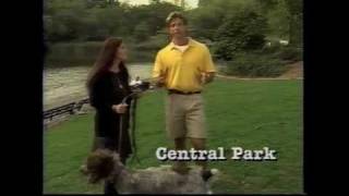 Dikeman trains NY humane society director on training shelter dogs!