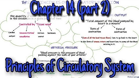 Principles of Circulation. Chapter 14 (part 2). Guyton and Hall.