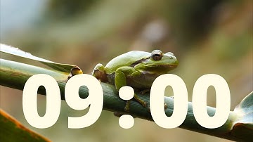 9 Minute Timer with Relaxing Rain Sounds and Alarm