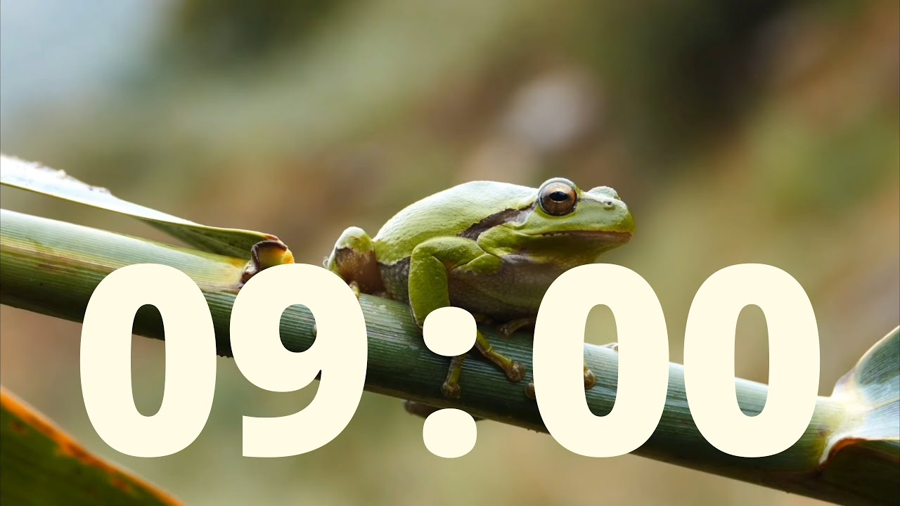 9 Minute Timer with Relaxing Rain Sounds and Alarm - YouTube