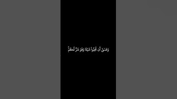 #القرآن_الكريم #الفرقان #الذكر #سورة_البقرة #ادريس_ابكر #قرآن #القران_الكريم #quran #قران_كريم