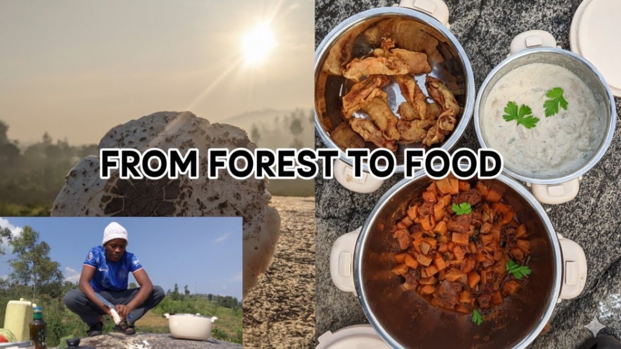 FROM FOREST TO FOOD 🍄 | FRIED MUSHROOM TEMPURA, WILD MUSHROOM STEW & BEEF MUSHROOM STEW