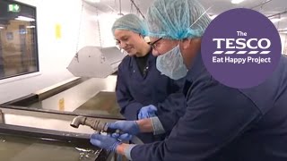 Evaporating seawater to make salt crystals