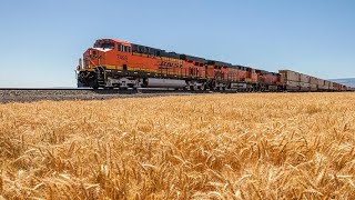 Riding amber  waves of grain ♧ North Dakota territory
