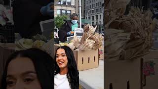 Why Does Interest Rate Even Exist?