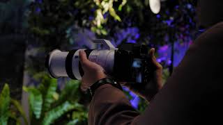 Sony Alpha Experience 2023 From Our Eyes Techent