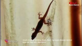 Instrumen cicak-cicak di dinding diam-diam merayap | no copyright (lagu anak Indonesia)