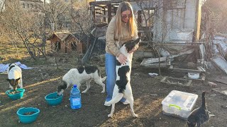 When I arrive, they greet me with kisses and hugs