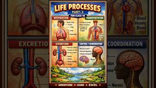 biology 10 part 2  docx Compatibility Mode   Microsoft Word 2026 04 11 20 19 54