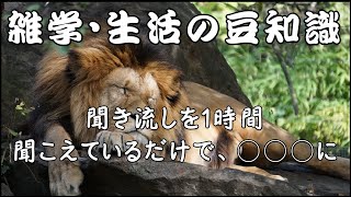 【雑学】【聞き流し】雑学・生活の豆知識…料理・食べ物、取りまとめ集。睡眠・作業用・脳トレにも。