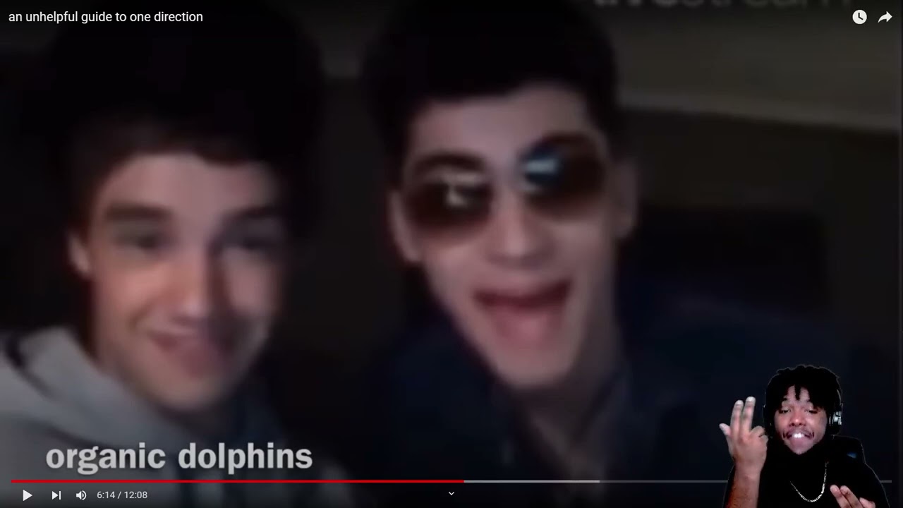 This was very (UN)HELPFUL!! | an unhelpful guide to one direction | REACTION!