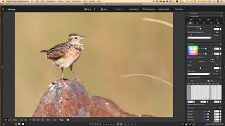 Processing RAW Files in Canon Digital Photo Professional 4