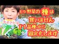 もうすぐ春ですね！貸し農園ライフ５年目に突入😀野菜の種はもう買いません！F１品種（雑種第一代）から種をつないで【固定化】します😊