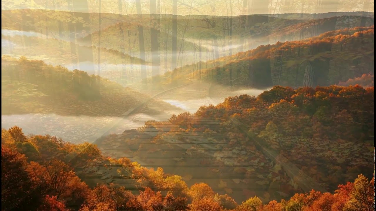 Cozy Autumn Vibes 🍂 Relaxing Piano for Stress Relief, Focus, and Serenity