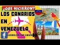 ¿QUE HICIERON LOS CANARIOS EN VENEZUELA? 💖👍🙏