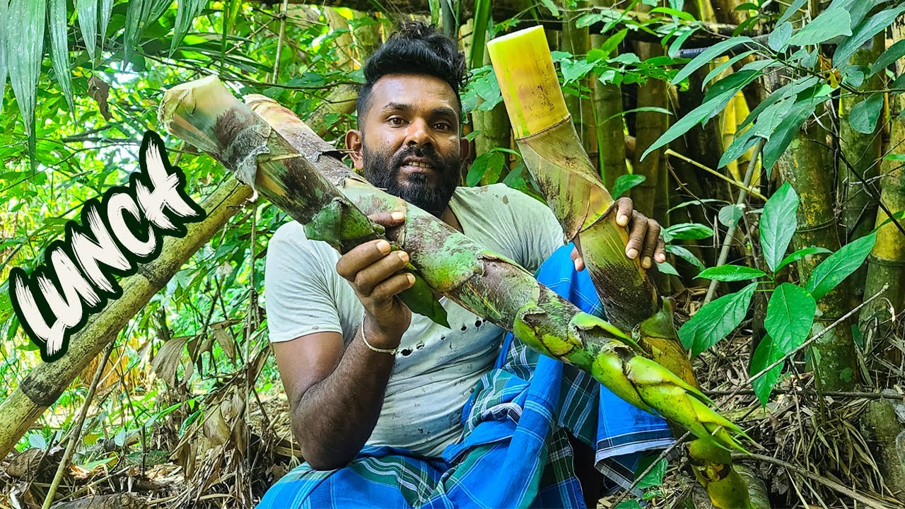 I made a delicious dish from Bamboo buds | Bamboo curry - Village foods | Village cooking videos