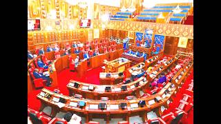 The Senate Plenary || Wednesday 11th March 2026 || Afternoon Session
