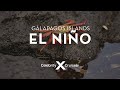 El Niño in the Galapagos Islands