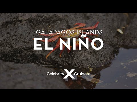Videó: Átfogó útikalauz A Galapagos-szigetekre
