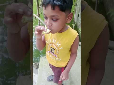 আমের বাঁশি,, mango flute 🥰🍓 My Little Boy (Prithee) #viral #shorts