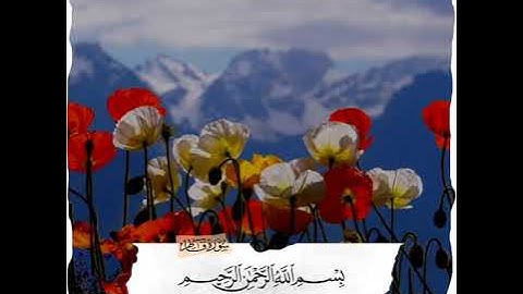 عبدالرحمن السويد سورة فاطر