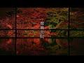 【WEB動画】2025年 瑠璃光院 秋の特別拝観