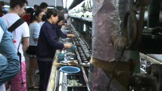 Chinese Easter Camp 2015