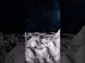 Amazing SpaceFactsThat Will BlowYour Mind #Space #Facts #AmazingFacts #Universe #SpaceFacts #Shorts