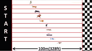 Speed Comparison : Race Simulation screenshot 2