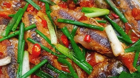 Cá Sốt Cà Chua Cách Làm Cá Hấp Sốt Cà Đậm Vị Hao Cơm