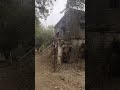 रामनगर की बुढ़वल चीनी मिल के संचालन को लेकर कोई ठोस घोषणा की जा सकती है।