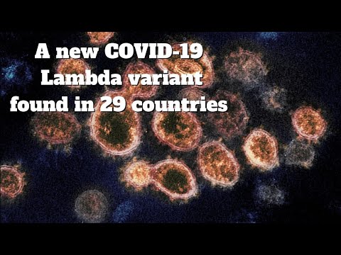 COVID-19 variant of interest Lambda found in 29 countries: WHO