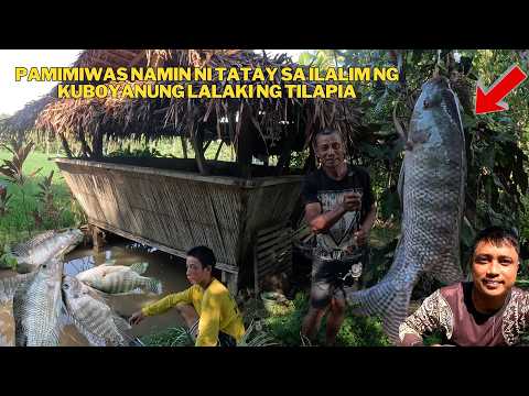 SWERTE SI TATAY PAMIMIWAS NG TILAPIA ANLALAKI NG HULI PANG KULOB