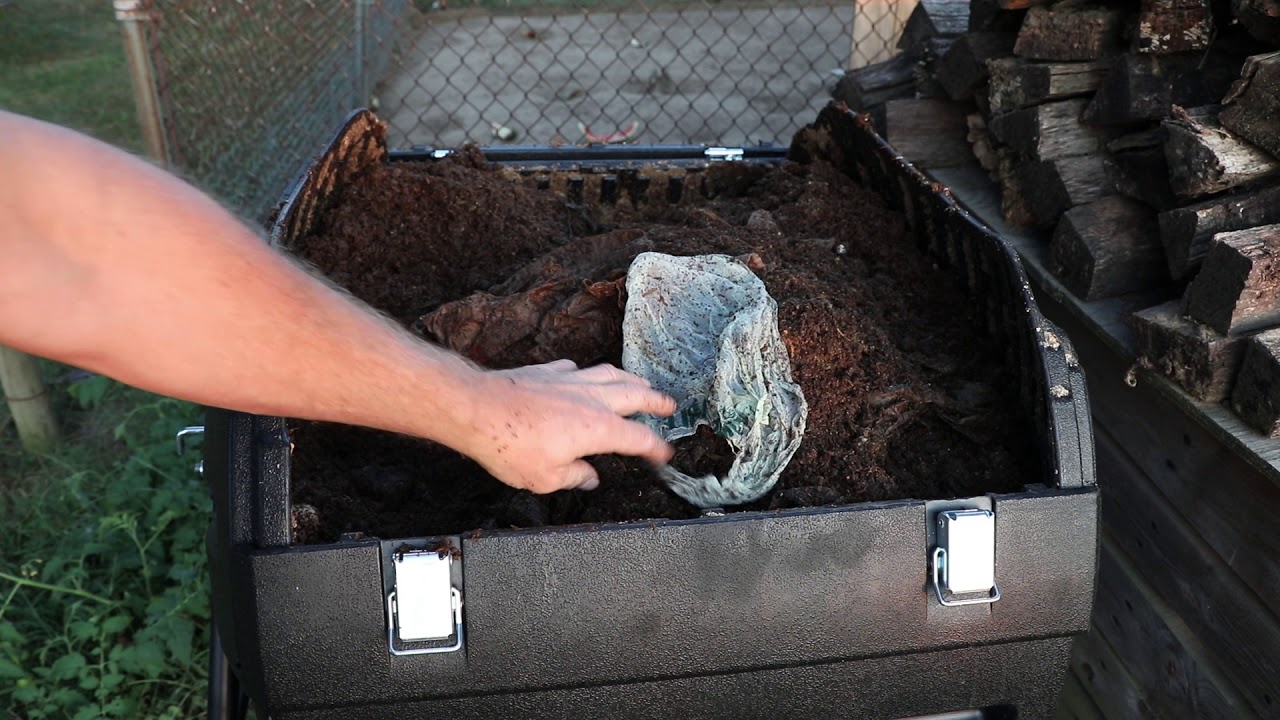 10 Day Composting Plastic Bag Update YouTube