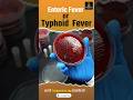 Enteric Fever and typhoid Fever | Cause | Symptoms| Diagnosis #EntericFever #typhoidfever #shorts