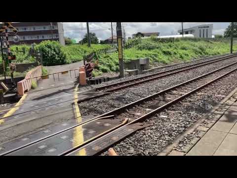 鉄道Pvサヨナラの意味